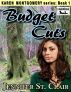 Karen Montgomery Series Book 1: Budget Cuts by Jennifer St. Clair