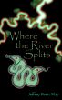 Where the River Splits by Jeffrey Penn May