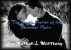 The Gentle Patter of the Summer Rain: A Collection of Novellas by Nathan J Morissey