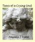 Tears of a Crying Soul by Amanda Evans