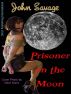 Prisoner on the Moon by John Savage