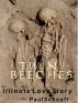 Twin Beeches -- An Illinois Love Story by Paul Schoaff