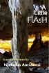 A Lttle Flash - Four Quick Stories by Nicholas Antinozzi