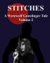 Stitches: A Werewolf Gunslinger Tale Volume 2 by MT Murphy