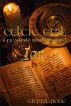 CELTIC EVIL A Fitzgerald Brothers Novel IAN by Sierra Rose