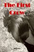 The First Crow by Jeff Cross