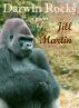 Darwin Rocks by Jill Martin