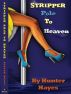 Stripper Pole To Heaven by Hunter Hayes