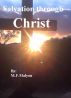 Salvation through Christ by Michael Malyon