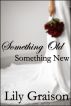Something Old, Something New by Lily Graison