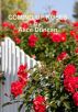 Coming Up Roses by Alice Duncan
