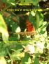 Mariposa, a new way of being is emerging... by Courtney Trowman
