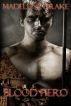 Blood Hero by Madeleine Drake