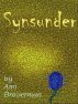 Synsunder by Ami Braverman