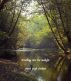 Breathing Into The Sunlight by Sarah Leigh Graham