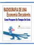 Radiografia de una Economia Caida: Como prosperar en tiempos de crisis by Raul Fernando Rodriguez Villanueva