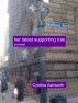 Her Latest Supporting Role by Cynthia Ashworth