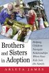 Brothers and Sisters in Adoption:Helping Children Navigate Relationships When New Kids Join the Family by Arleta M. James
