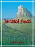 Bristol Head by John Ewing