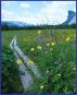 Five Poems ... by Ann Åhsberg