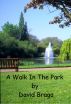A Walk In The Park by David Braga