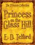 Princess on the Glass Hill by E. D. Telford