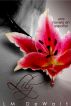 Lily: Una Novela en Espanol by LM DeWalt
