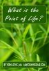 What is the Point of Life? by Mike Fook
