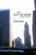 The City of Hope by Travis King