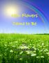 Fairy Tales vol. 1: How Flowers Came to Be by Michaelbrent Collings