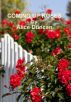 Coming Up Roses by Alice Duncan