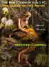 The Red Cross of Gold IX:. The Queen of the Abyss by Brendan Carroll
