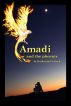 Amadi and the Phoenix by Katharina Gerlach