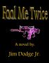 Fool Me Twice by Jim Dodge Jr.