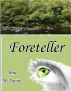 Foreteller by Anne McAneny