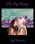 The Big Bang by Sal Aceous