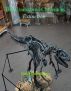 Crackstone Chronicles - Extinction by Bob Henneberger