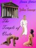 The Temple of Vesta by John Savage
