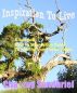 Inspiration To Live - A Spiritual Step-by-Step Action Guide to Healing from Fibromyalgia by Cha~zay Sandhriel