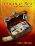 Joy In a Box by Sally Hanan