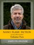 Nano Flash Fiction Volume Two by James Dillingham