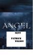 Angel Sent by Patrick Wilson