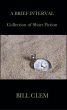 A Brief Interval by Bill Clem