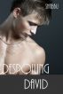 Despoiling David by Shabbu 