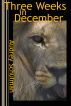 Three Weeks in December by Audrey Schulman