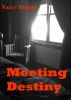Meeting Destiny by Nancy Straight