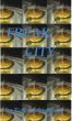 Freak City by Tom Lichtenberg