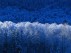 The Last Season by Richard Trevae