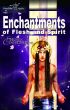 The Enchantments of Flesh and Spirit by Storm Constantine