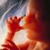 The Foetal Position by Brian Kelly